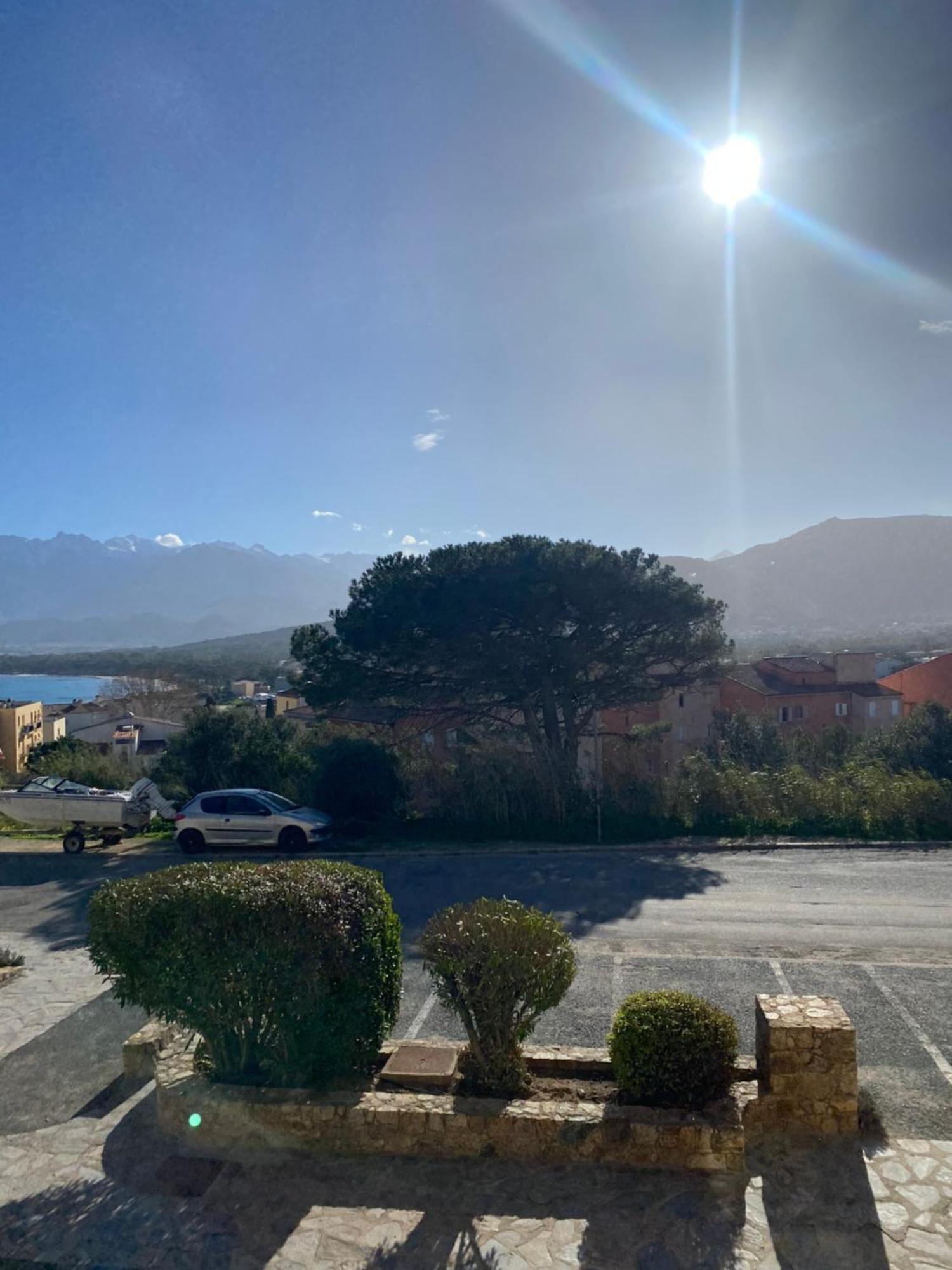Ferienwohnung Coeur De Calvi Calvi  Exterior foto